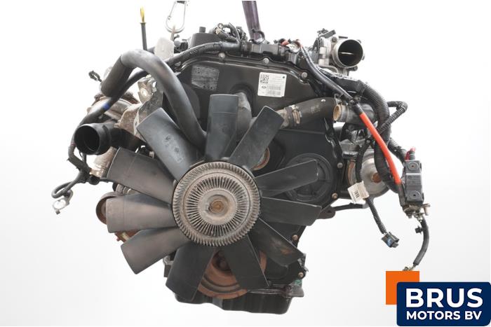 Begagnade Motor Ford Ranger 3.2 TDCI 20V 4x4 Pris € 6.655,00 Inklusive moms erbjuds av Brus Motors BV