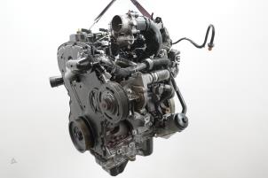 Gebrauchte Motor Ford Ranger 2.2 TDCi 16V 125 4x4 Preis € 5.445,00 Mit Mehrwertsteuer angeboten von Brus Motors BV