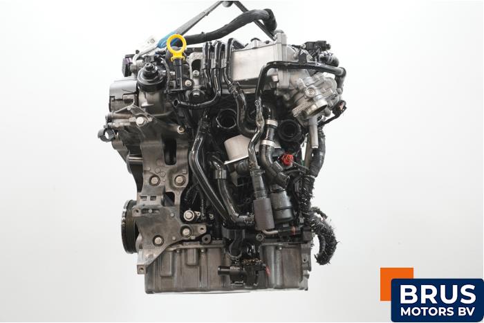 Engine Volkswagen Caddy IV 2.0 TDI 102 - 04L100090F DFS00