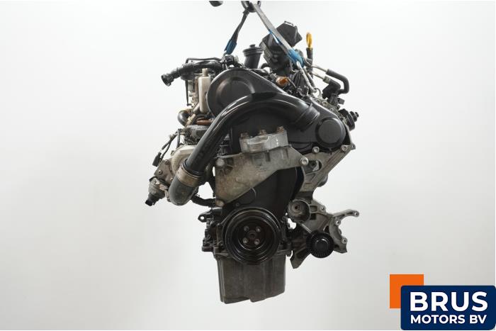 Używane Silnik Volkswagen Transporter T6 2.0 TDI DRF Cena € 3.932,50 Z VAT oferowane przez Brus Motors BV