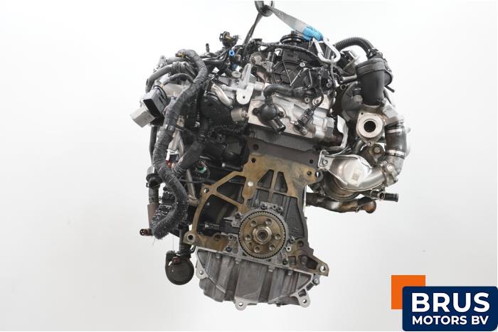 Engine Volkswagen Caddy IV 2.0 TDI 102 - DSF00 DFS
