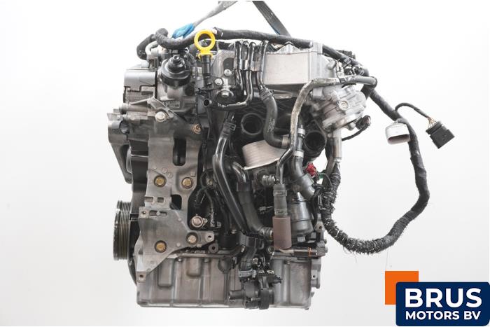 Engine Volkswagen Caddy IV 2.0 TDI 102 - DSF00 DFS