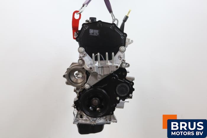 Neuf Moteur Ford Transit 2.0 TDCi 16V Eco Blue 130 Prix € 4.779,50 Prix TTC proposé par Brus Motors BV