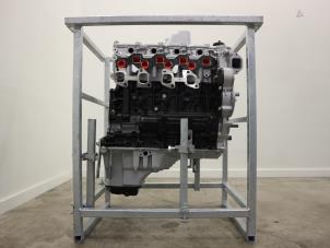 Overhauled Engine Nissan Patrol GR (Y61) 3.0 GR Di Turbo 16V Price € 5.989,50 Inclusive VAT offered by Brus Motors BV