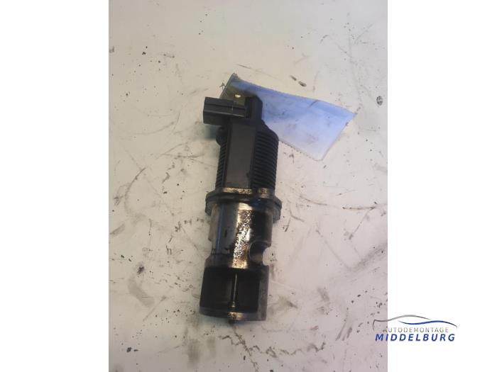 EGR valves with engine code G9U stock