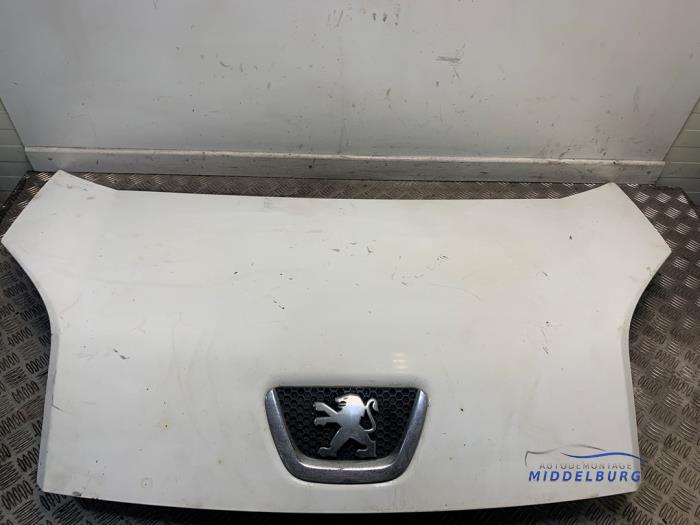 Używane Maska Peugeot Bipper (AA) 1.4 HDi Cena € 59,00 Procedura marży oferowane przez Autodemontagebedrijf Middelburg B.V