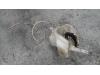 Front windscreen washer reservoir from a Alfa Romeo 166, 1998 / 2007 2.4 JTD 20V, Saloon, 4-dr, Diesel, 2.387cc, 129kW (175pk), FWD, 841G000, 2003-09 / 2006-06, 936AXC01 2005