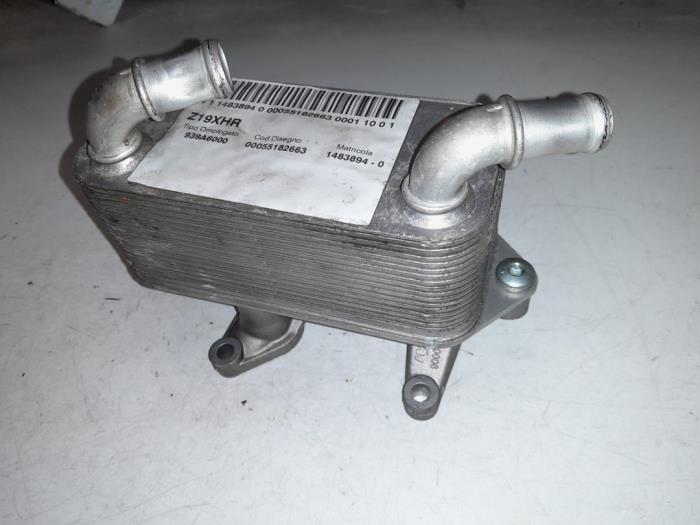 Gebrauchte Wärmetauscher Alfa Romeo 159 (939AX) 1.9 JTS 16V Preis € 75,00 Margenregelung angeboten von A.T.S. van de Wiel