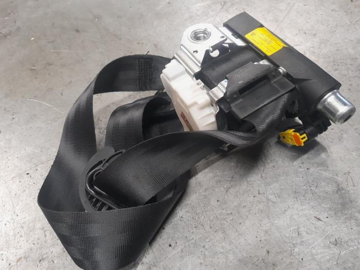 Van der Wiel single-car chest harness