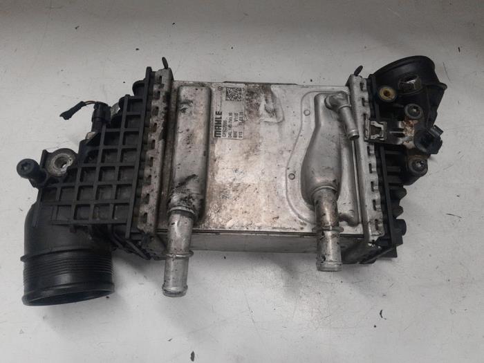 Usados Intercooler MAN TGE 2.0 TDI RWD Precio € 135,00 Norma de margen ofrecido por A.T.S. van de Wiel