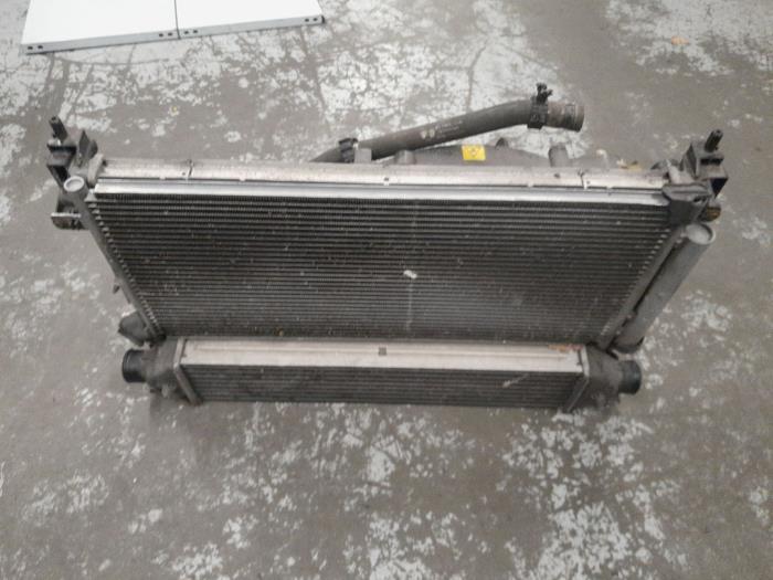Używane Panel przedni Fiat Doblo Cargo (263) 1.6 D Multijet Cena € 190,00 Procedura marży oferowane przez A.T.S. van de Wiel