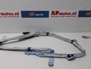Used Roof curtain airbag, left Audi A6 Avant Quattro (C6) 3.0 TDI V6 24V Price € 65,00 Margin scheme offered by AP Autos