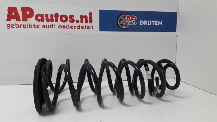 Coil spring rubber mount