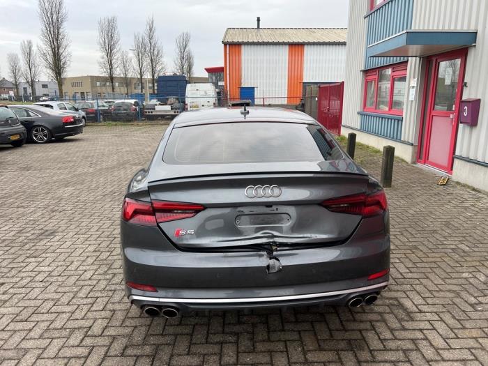 Używane Kurtyna prawa Audi S5 Sportback (F5A/F5F) 3.0 TFSI V6 24V Cena € 249,99 Procedura marży oferowane przez AP Auto's