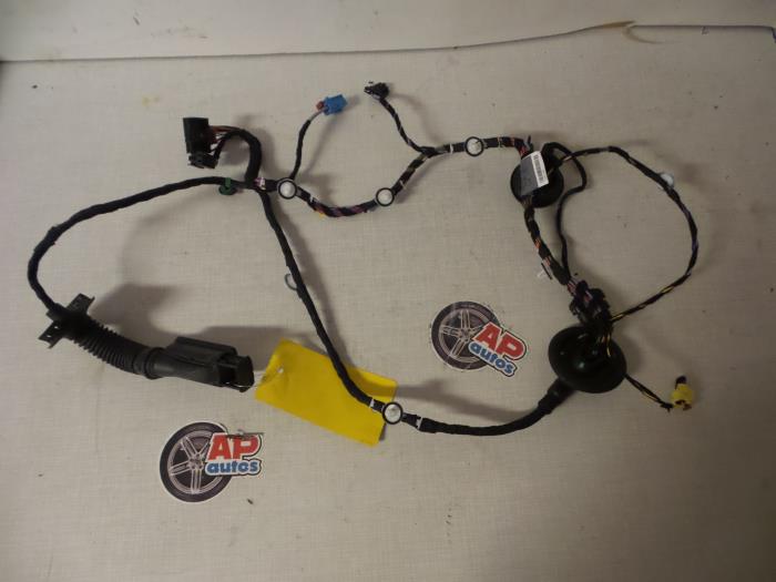 Front door wiring loom