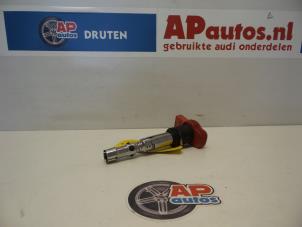 Używane Zestaw cewek zaplonowych Audi A4 Cabrio (B7) 3.0 V6 30V Cena € 22,50 Procedura marży oferowane przez AP Autos