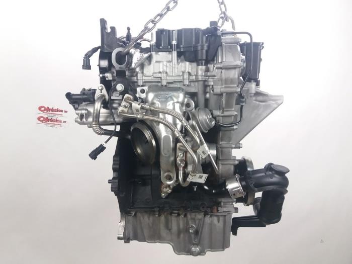 Engine Ford Focus 4 1.0 EcoBoost 12V Hybrid 125 - B7DCC B7DC