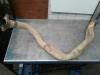Opel Frontera Exhaust front section