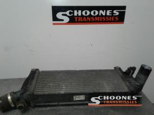 Gebrauchte Ladeluftkühler Nissan Navara Preis € 78,75 Margenregelung angeboten von Schoones Transmissies B.V.