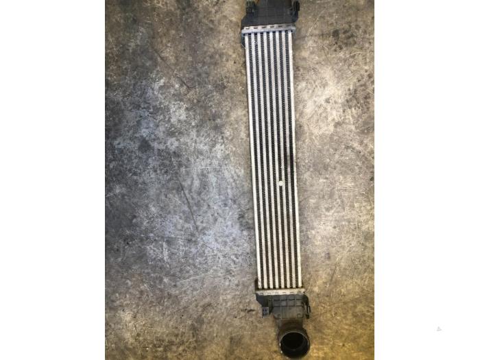 Usados Intercooler Mercedes E (W211) 2.2 E-200 CDI 16V Precio de solicitud ofrecido por Tijdeman Mercedes Onderdelen