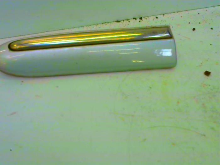 Fender trim