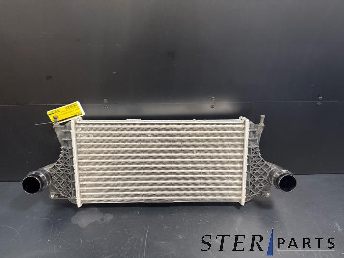 Usagé Intercooler Mercedes GLE (W166) 250d 2.0 Prix € 120,40 Prix TTC proposé par Sterparts Mercedes specialist