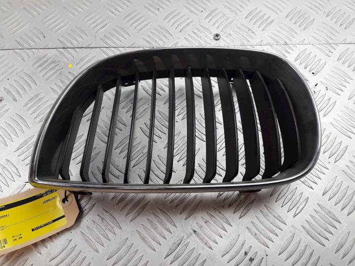 Grille from a BMW 1 serie (E87/87N) 116i 1.6 16V 2004