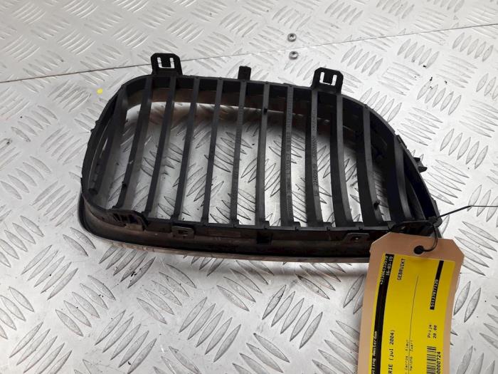 Grille from a BMW 1 serie (E87/87N) 116i 1.6 16V 2004