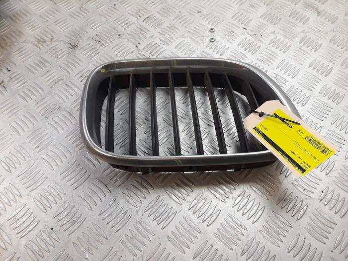 Grille from a BMW X5 (E53) 3.0i 24V 2005