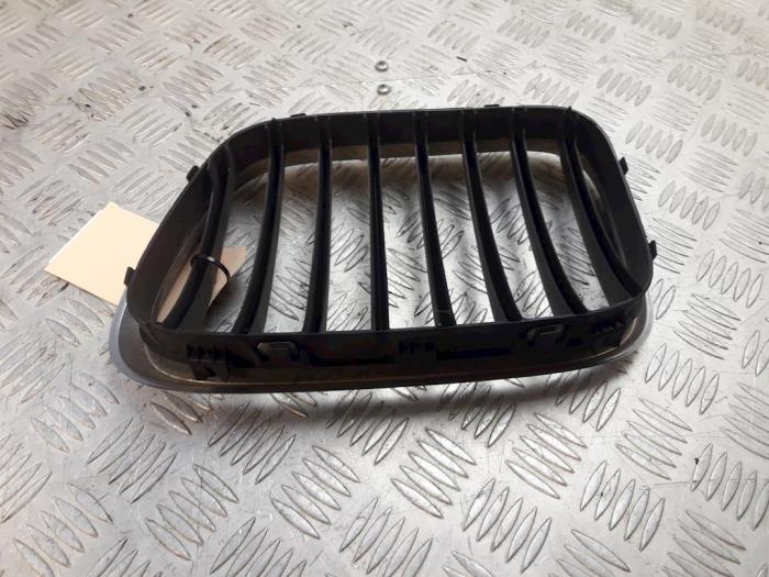 Grille from a BMW X5 (E53) 3.0i 24V 2005