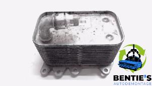 Usados Intercambiador de calor BMW 7 serie (E65/E66/E67) 730d,Ld 3.0 24V Precio € 35,00 Norma de margen ofrecido por Bentie's autodemontage