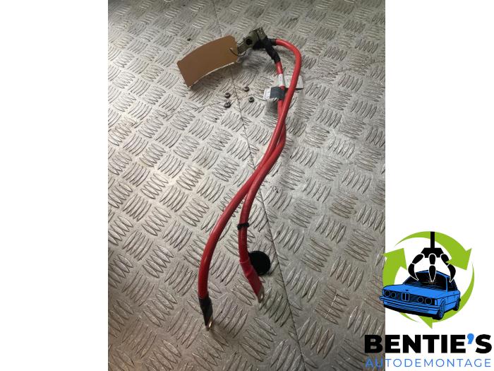 Battery pole from a BMW 1 serie (F20) 116d 1.5 12V TwinPower 2016