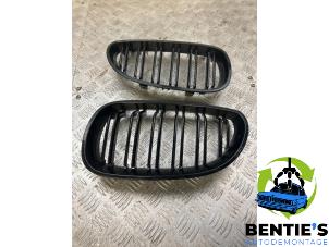Used Grille BMW 5 serie (E60) 523i 24V Price € 50,00 Margin scheme offered by Bentie's autodemontage