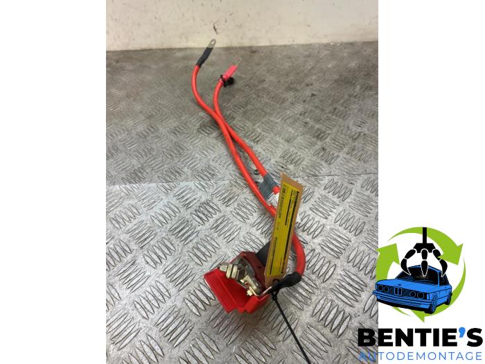 Używane Biegun akumulator BMW 1 serie (F20) 114i 1.6 16V Cena € 25,00 Procedura marży oferowane przez Bentie's autodemontage