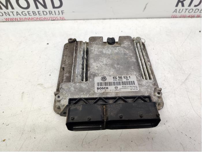 Used Injection computer Volkswagen Golf V (1K1) 2.0 SDI Price on request offered by Autodemontage Rijnmond BV