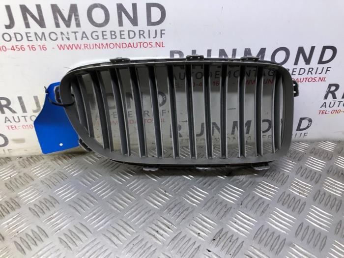 Grille from a BMW 5 serie (F10) 520d 16V Performance Power Kit 2012