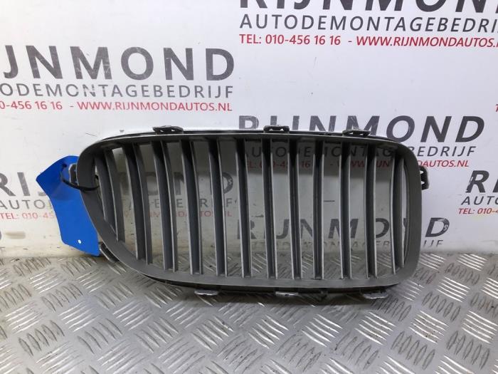 Grille from a BMW 5 serie (F10) 520d 16V Performance Power Kit 2012