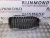 Grille from a BMW 5 serie (F10), 2009 / 2016 520d 16V Performance Power Kit, Saloon, 4-dr, Diesel, 1.995cc, 147kW (200pk), RWD, N47D20C, 2010-06 / 2014-06, FW11; FW12; FW91; FW92; 5C31; 5C32 2012