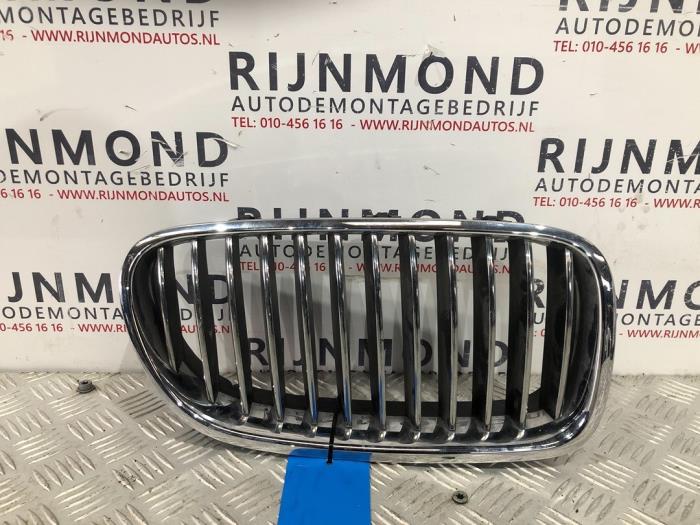 Begagnade Grill BMW 5 serie (F10) 518d 16V Pris på förfrågan erbjuds av Autodemontage Rijnmond BV