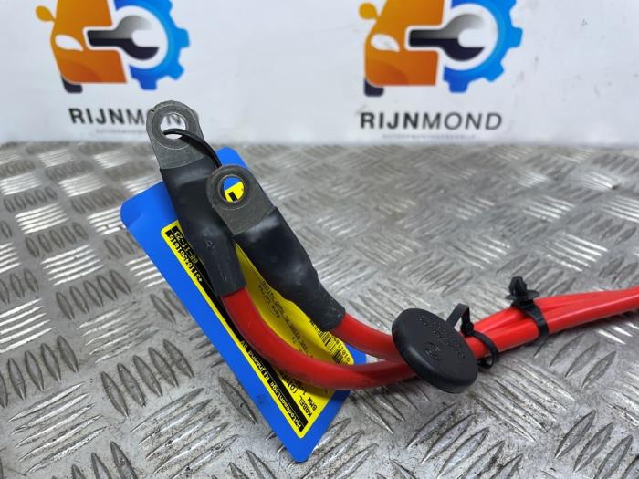 Używane Kabel (rózne) BMW 1 serie (F20) 116d 2.0 16V Cena na żądanie oferowane przez Autodemontage Rijnmond BV