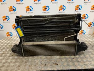 Used Radiator Mercedes E (R207) E-250 CDI,d 16V BlueEfficiency, BlueTEC Price on request offered by Autodemontage Rijnmond BV