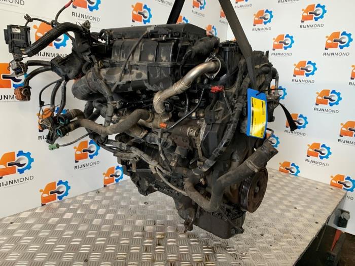 Gebrauchte Motor Ford Fiesta 5 (JD/JH) 1.4 TDCi Preis € 250,00 Margenregelung angeboten von Autodemontage Rijnmond BV
