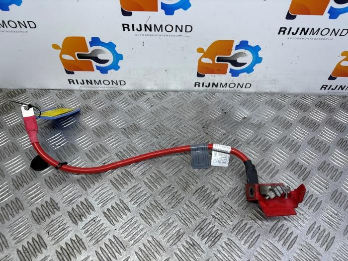 Używane Kabel (rózne) BMW 1 serie (F20) 114i 1.6 16V Cena na żądanie oferowane przez Autodemontage Rijnmond BV