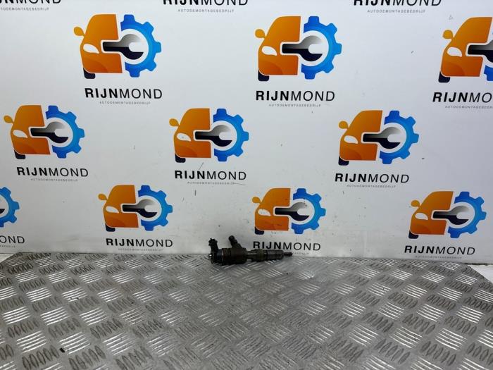 Usagé Injecteurs Citroen C3 (SC) 1.6 HDi 92 Prix € 14,98 Règlement à la marge proposé par Autodemontage Rijnmond BV