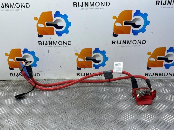 Begagnade Kabel (diverse) BMW 1 serie (F20) 116d 1.5 12V TwinPower Pris på förfrågan erbjuds av Autodemontage Rijnmond BV