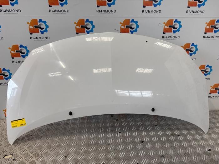 Używane Maska Renault Twingo II (CN) 1.2 Cena na żądanie oferowane przez Autodemontage Rijnmond BV