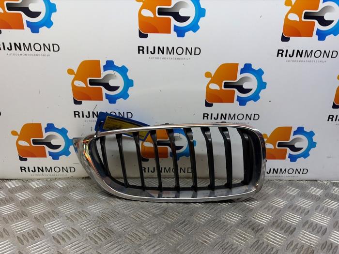 Używane Grill BMW 4 serie (F32) 420d 2.0 16V Cena € 24,19 Z VAT oferowane przez Autodemontage Rijnmond BV