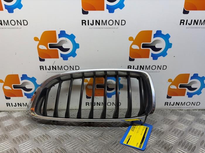 Używane Grill BMW 4 serie (F32) 420d 2.0 16V Cena € 24,19 Z VAT oferowane przez Autodemontage Rijnmond BV
