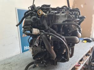 Używane Silnik Audi A3 (8V1/8VK) 2.0 TDI 16V Cena € 2.500,00 Procedura marży oferowane przez Autodemontage VDW