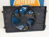 Volkswagen Caddy III (2KA,2KH,2CA,2CH) 2.0 SDI Fan motor